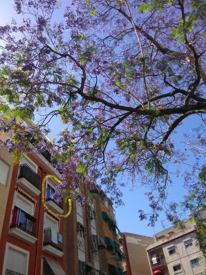 Coqueto y cómodo apartamento-Aire Acond Carolinas Bajas Alicante Exterior foto